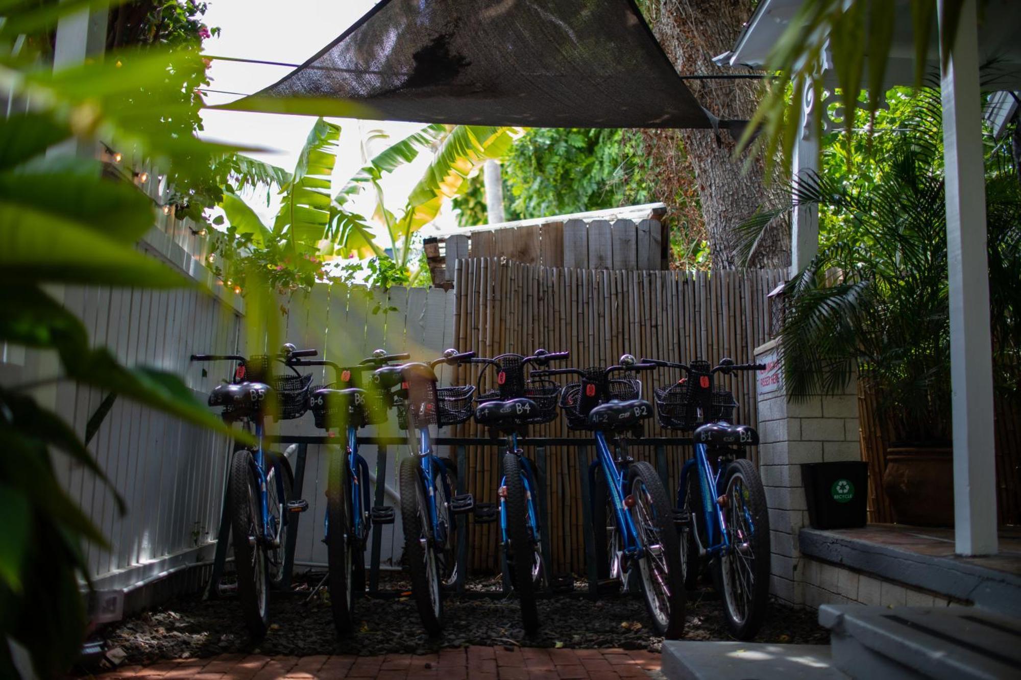 Andrews Inn&Garden Cottages Key West Exteriör bild
